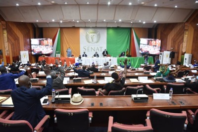 Côte d'Ivoire : 10 projets de lois adoptés en plénière par le Sénat, le Groupe PDCI « dénonce la propension à faire des ordonnances le mode de gestion de l'Etat »