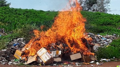 Côte d'Ivoire : À Odienné, des kilos de cannabis et de médicaments incinérés