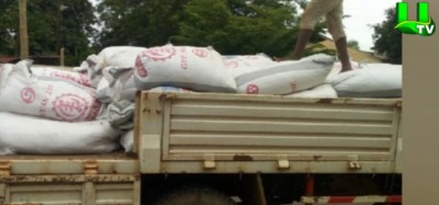 Ghana-Togo :  Saisie de 79 sacs de fèves de cacao en contrebande vers le Togo