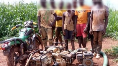 Côte d'Ivoire : Interpellation d'une dizaine d'individus sur plusieurs sites d'orpaillage clandestin