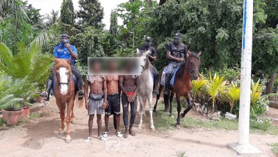 Côte d'Ivoire : Des présumés agresseurs du « marigot » carrefour Akwaba  appréhendés