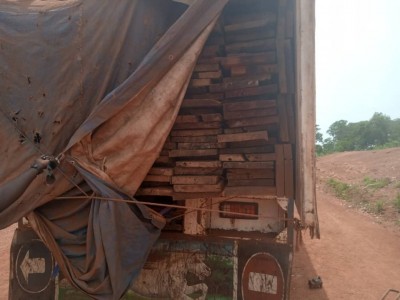 Côte d'Ivoire : Minignan, un trafic de bois à sciage entre la Côte d'Ivoire et le Mali découvert par des agents de la SODEFOR, le Directeur départemental des Eaux et forêts cité