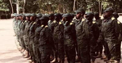 Côte d'Ivoire : Eaux et Forêts, après la bastonnade des étudiants de l'INFPA  de Bouaflé par la Brigade, Donwahi veut situer les responsabilités