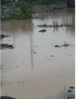 Côte d'Ivoire : Abobo-Gare, un corps retrouvé dans un bas-fond