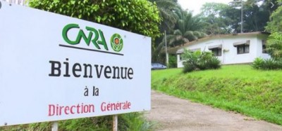 Côte d'Ivoire : Affaire Abadjin-Doumé et  CNRA : Tentative de spoliation de terres, forfaiture ou abus de pouvoir  ?