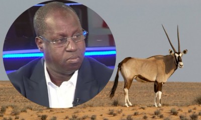 Sénégal : La mort de deux deux espèces protégées, impliquant le ministre de l'environnement, crée la polémique