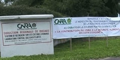 Côte d'Ivoire : Affaire Abadjin-Doumé et d'Abadjin-Kouté de nouvelles révélations qui pourraient accabler le CNRA toujours dans son « mutisme  »