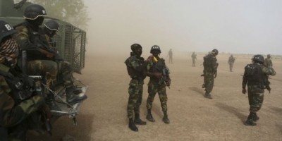 Cameroun : L'armée annonce avoir tué 5 jihadistes de Boko Haram