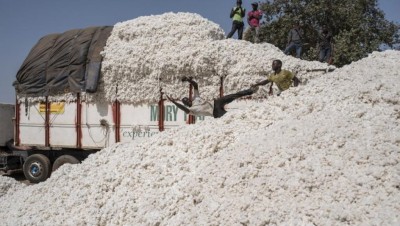 Côte d'Ivoire : Campagne commerciale 2020-2021 du coton, le gouvernement fixe le prix du kilo à 270 FCFA