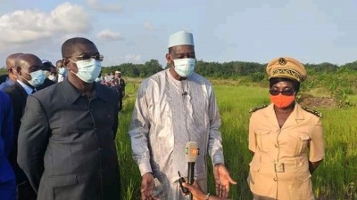 Côte d'Ivoire : Afin de rendre compte au président Ouattara, Gaoussou Touré s'imprègne des potentialités rizicoles du Bas-Sassandra
