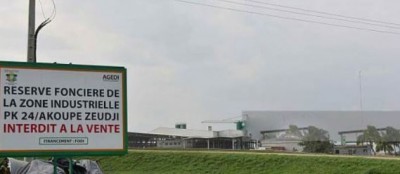Côte d'Ivoire : Trois nouvelles  zones économiques industrielles vont être installées à Akoupé Zeudji, San Pedro et Ferké