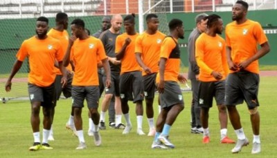 Côte d'Ivoire : Amical,  les éléphants dans le viseur des  Super Eagles avant la reprise des éliminatoires de la CAN 2021