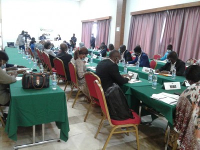 Côte d'Ivoire : Le gouvernement créé un cadre de concertation et de réflexion pour la valorisation des compétences de la diaspora ivoirienne estimée à plus de 1,2 millions de personnes