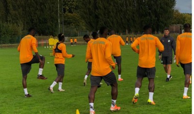 Côte d'Ivoire : Avant les amicaux contre la Belgique et le Japon, les éléphants en regroupement à Bruxelles