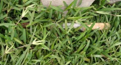 Côte d'Ivoire : Abobo-Gare, le fils meurtrier de son père Marin mis aux arrêts