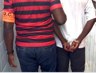 Côte d'Ivoire : Trafic d'espèces protégées, un présumé trafiquant d'ivoires arrêté