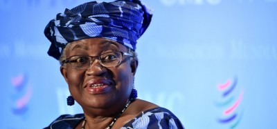 Afrique :  Opposition des USA à l'élection de la nigériane Okonjo-Iweala à la tête de l'OMC