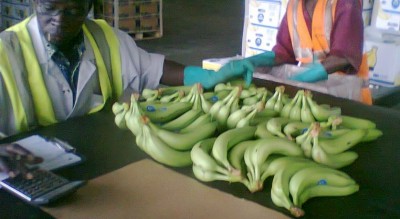 Côte d'Ivoire :   APE, mise en oeuvre de la 2eme phase du démantèlement tarifaire, Abidjan fixe les règles et les principes