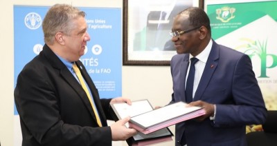 Côte d'Ivoire : Développement des chaînes de valeur du riz, le Gouvernement et la FAO signent une convention en vue d'améliorer la capacité locale