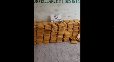 Côte d'Ivoire : Adiaké, découverte de plus d'une tonne de cannabis, dissimulée dans des palmes