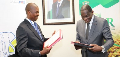 Côte d'Ivoire :RIZ, le Gouvernement signe un partenariat avec Callivoire qui annonce la création d'une ferme semencière