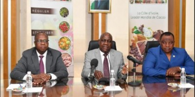 Côte d'Ivoire : Nouvelle grogne des producteurs à cause de la mévente du cacao, le Conseil et le Ministre Adjoumani interpellés