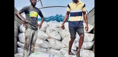 Côte d'Ivoire : Agboville, des individus armés de kalashnikov braquent un acheteur de cacao et emportent une somme de 20 millions