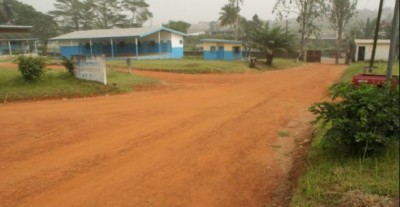 Côte d'Ivoire : Le corps sans vie d'un homme découvert à Bonoua