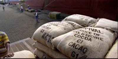 Côte d'Ivoire : Les  « vraies » raisons de la mévente actuelle du cacao,  selon le porte-parole du Groupement des Négociants Ivoiriens (GNI)