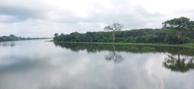 Côte d'Ivoire : Inventaire forestier et faunique national, le taux de réalisation approche les 80%