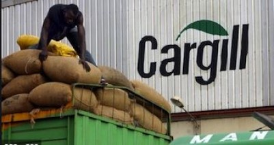 Côte d'Ivoire : Cacao, pression des multinationales pour la « réduction » massive du prix d'achat des tonnes restantes