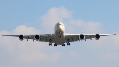 Soudan : Un chat « en colère » oblige un avion à atterrir d'urgence