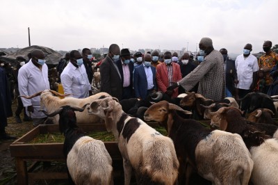 Côte d'Ivoire :    Célébration de la fête de la Tabaski 2021, plus de 2 milliards de CFA de bêtes importées au Burkina et au Mali