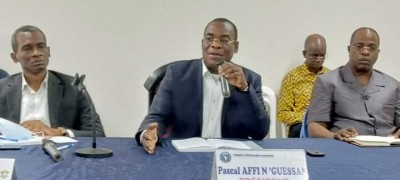 Côte d'Ivoire : Débâcle des candidats du FPI aux élections législatives, Affi reproche à ses cadres d'être absents du terrain