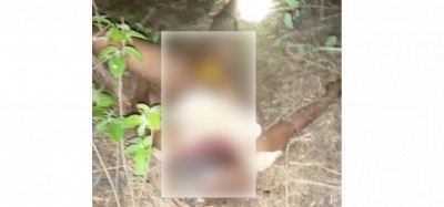 Côte d'Ivoire : Une femme découverte morte éventrée dans la broussaille à Ouaninou