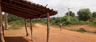 Côte d'Ivoire : Région du Moronou, une femme de 70 ans mortellement éventrée par un buffle