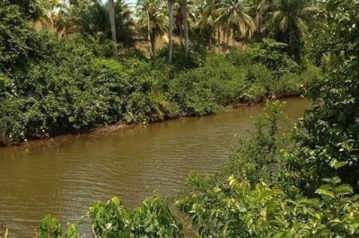 Côte d'Ivoire : Grand-Bassam, drame de Pâques, 02 enfants périssent dans la lagune