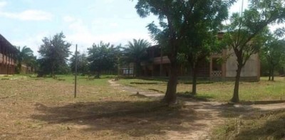 Côte d'Ivoire : Sakassou, suite à l'assassinat de leur camarade, les élèves dans les rues, réclament justice