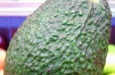 Cameroun : Douala, cinq enfants d'une même famille décèdent après avoir consommé l'avocat