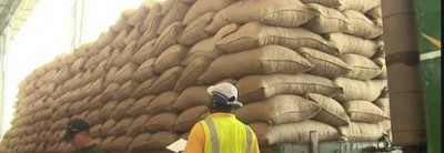 Côte d'Ivoire : La crise énergétique perturbe également le bon déroulement des opérations commerciales du Cacao