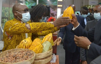 Côte d'Ivoire : Face aux difficultés rencontrées par les exportateurs et transformateurs ivoiriens de café et de cacao, le Gouvernement leur attribue 20% des exportations de fèves