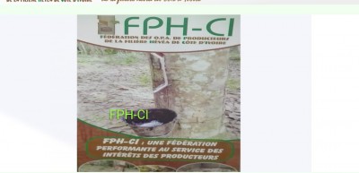 Côte d'Ivoire :    La Fédération des organisations professionnelles agricoles des producteurs de la filière hévéa, annonce un résultat net positif de 211.203.800 FCFA