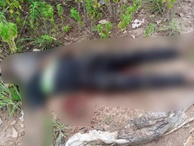 Côte d'Ivoire : Axe Tafiré-Ferké, après des échanges de tirs, 02 présumés coupeurs de route, impliqués dans le meurtre d'une enseignante, abattus