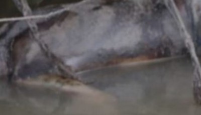 Côte d'Ivoire : Il met en exécution sa menace de se suicider  en se jetant dans un fleuve