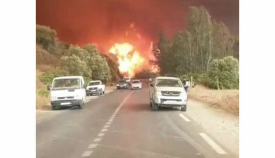 Algérie : « Canicule », les incendies font 65 morts dont 28 soldats en mission de secours