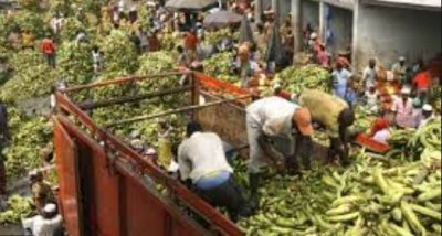 Côte d'Ivoire : Contre la vie chère, le Conseil national de lutte préconise les produits locaux de saison