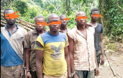 Côte d'Ivoire : Sécurisation des forêts classées, plusieurs clandestins mis aux arrêts vont subir la rigueur de la loi