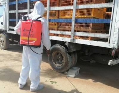 Côte d'Ivoire : Grippe aviaire, 170 mille sujets abattus, Sidi Touré annonce des indemnisations pour les producteurs pour la poursuite de leurs activités