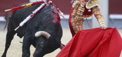 Nigeria-Espagne :  Un festival de taureaux annulé en Espagne