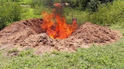 Burkina Faso : Prévention de la Grippe aviaire, plus de 5000 œufs saisis et incinérés à Bittou